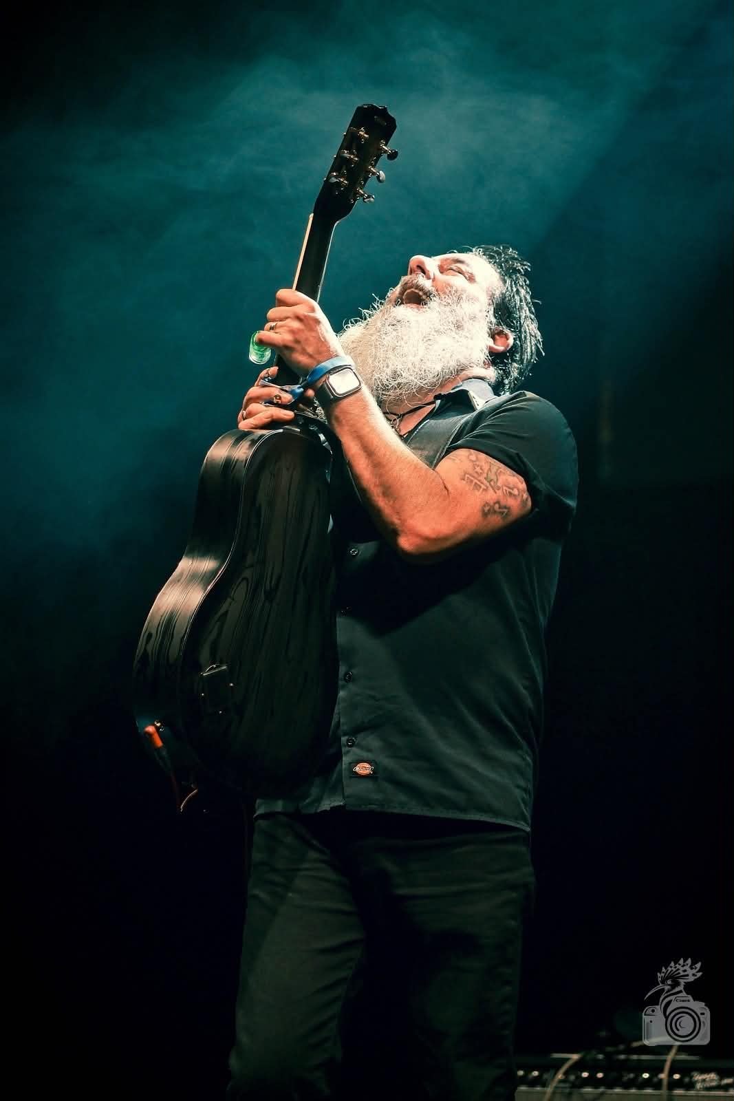Dave Arcari live on stage