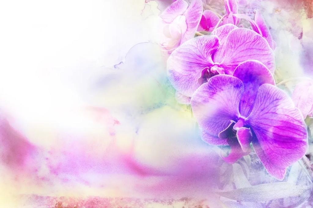 Soft watercolour orchids — a symbol of beauty and resilience in art